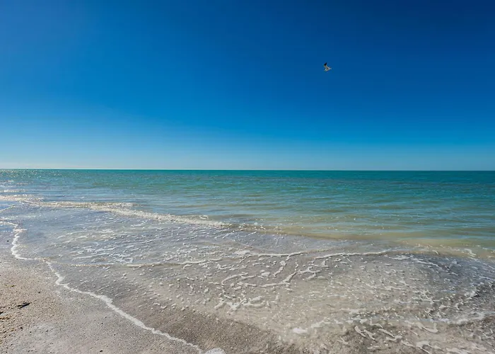 Joyce's Beachfront #3 Apartment Clearwater Beach